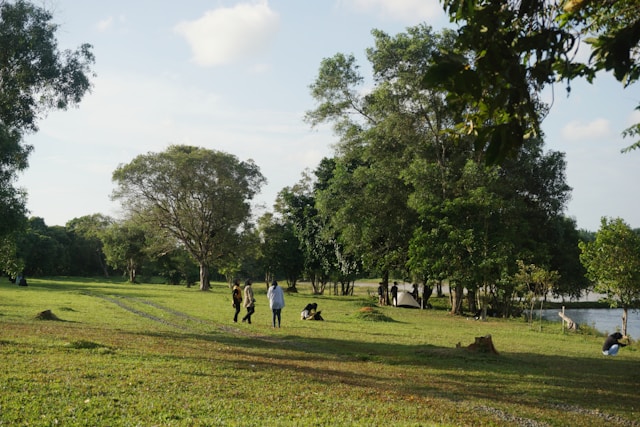 Xeltrazentralia voda